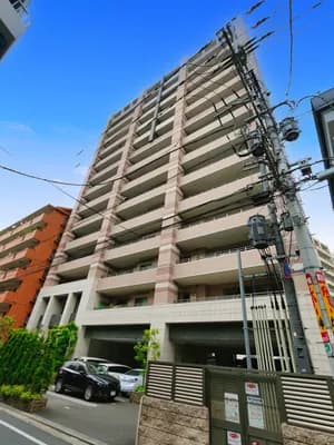 会员限定