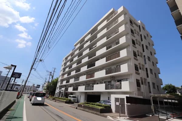 会员限定