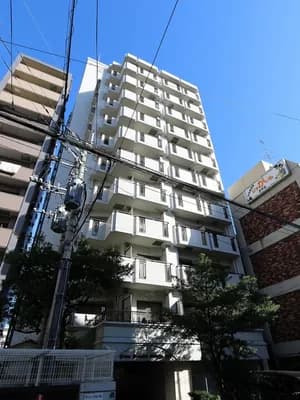 會員限定