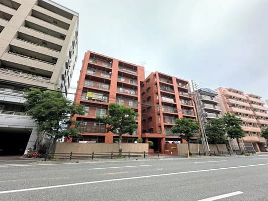 会员限定