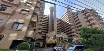 会员限定