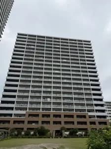 会员限定