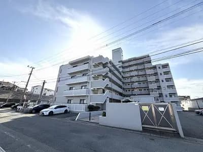 會員限定