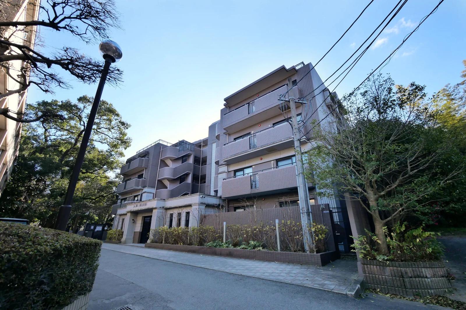 Art Will Akasaka