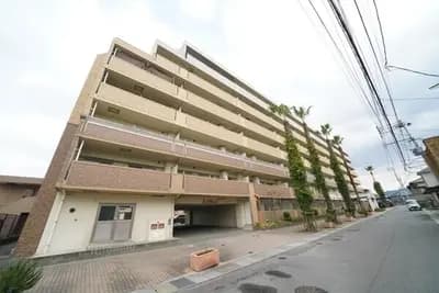 会员限定