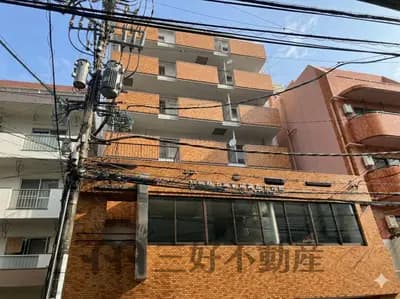 会员限定