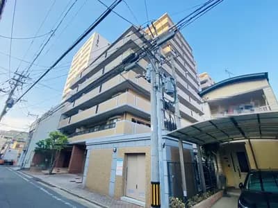 会员限定