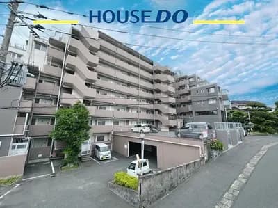 会员限定