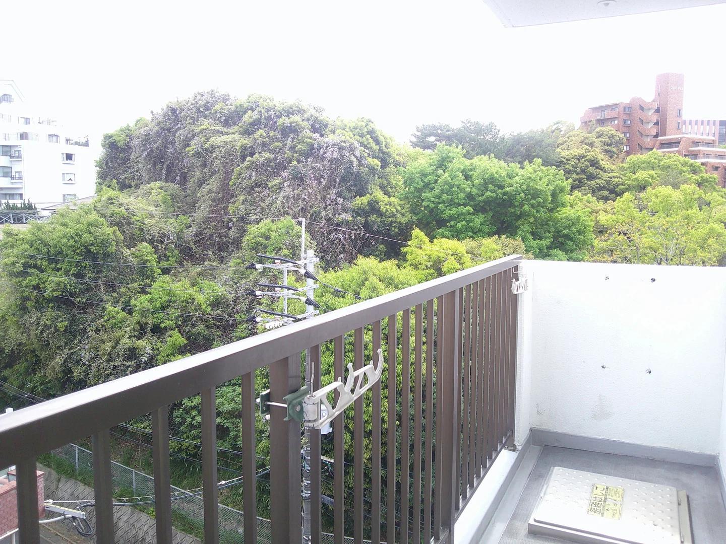Tokan Mansion 大橋