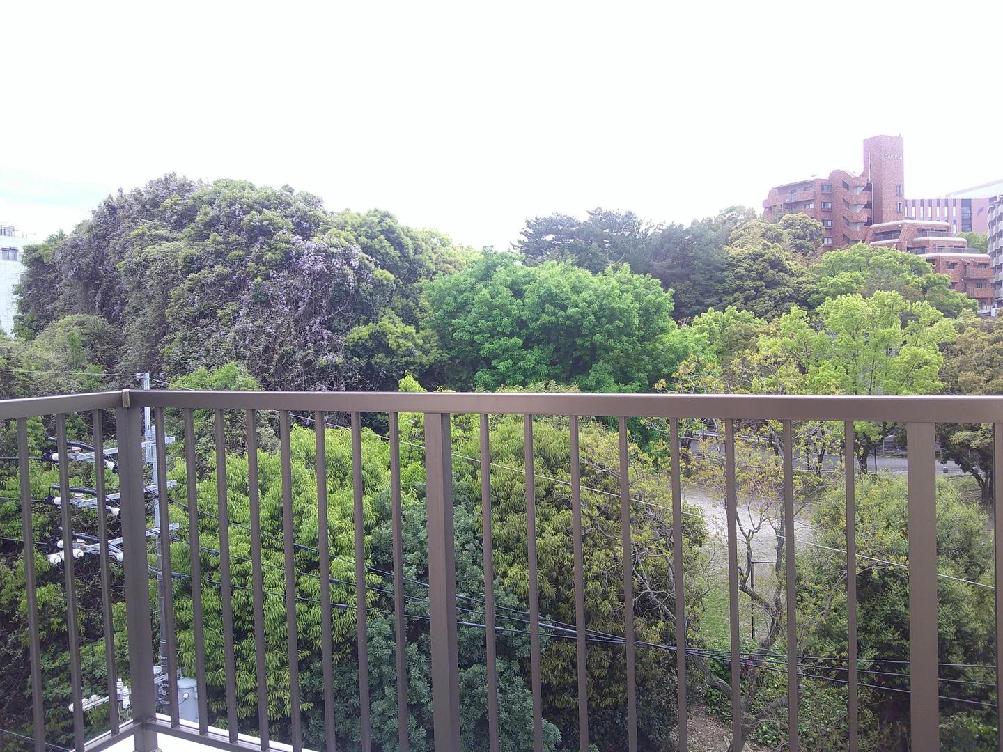 Tokan Mansion 大橋