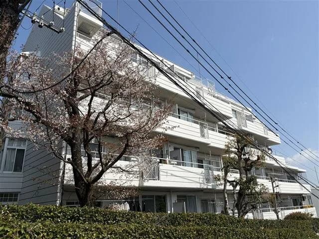 Forex 桜坂