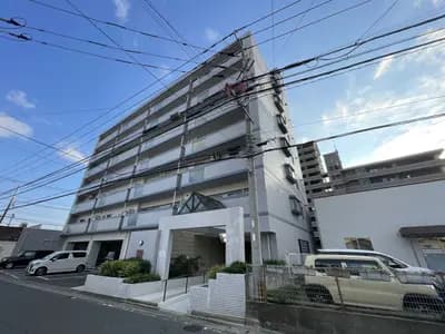 會員限定