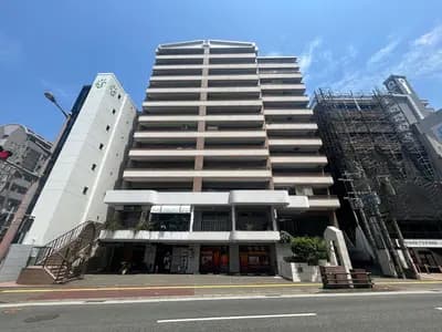 会员限定