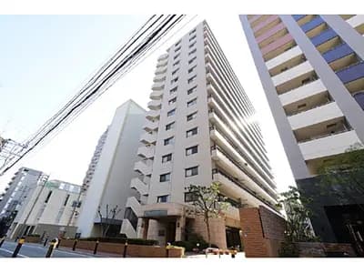 会员限定
