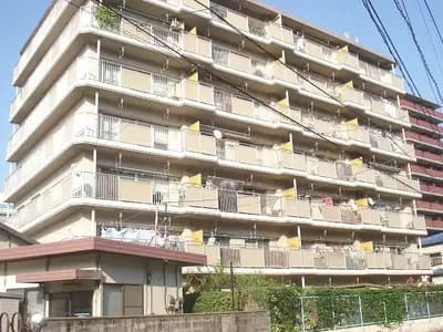 会员限定