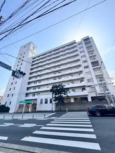 Chambord櫻坂