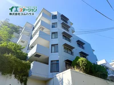 会员限定