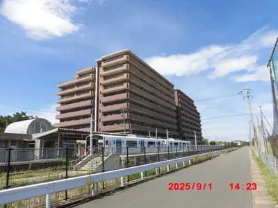 会员限定