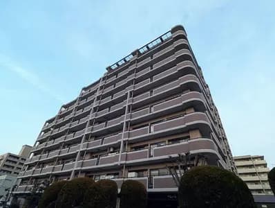 Amour 板付7