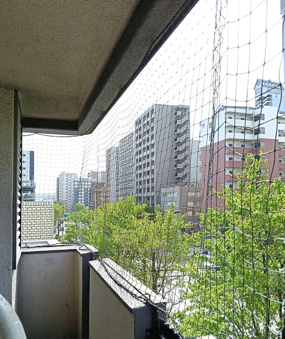 Pasonale Hakata