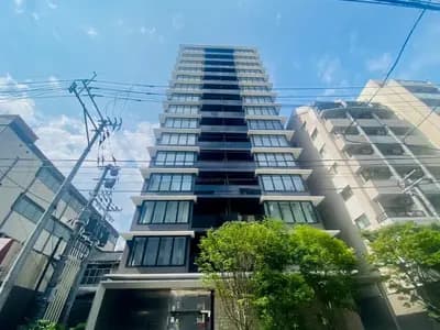 会员限定