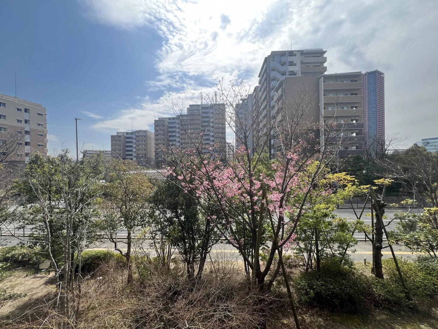 照葉Terrace Park Casa 01