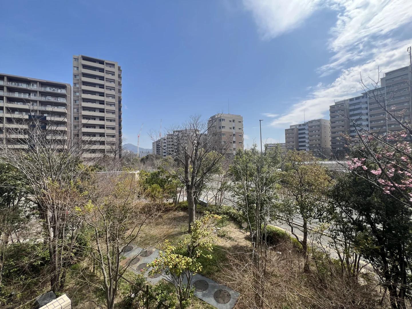 照葉Terrace Park Casa 01
