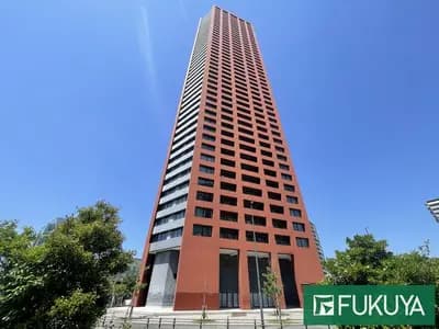会员限定