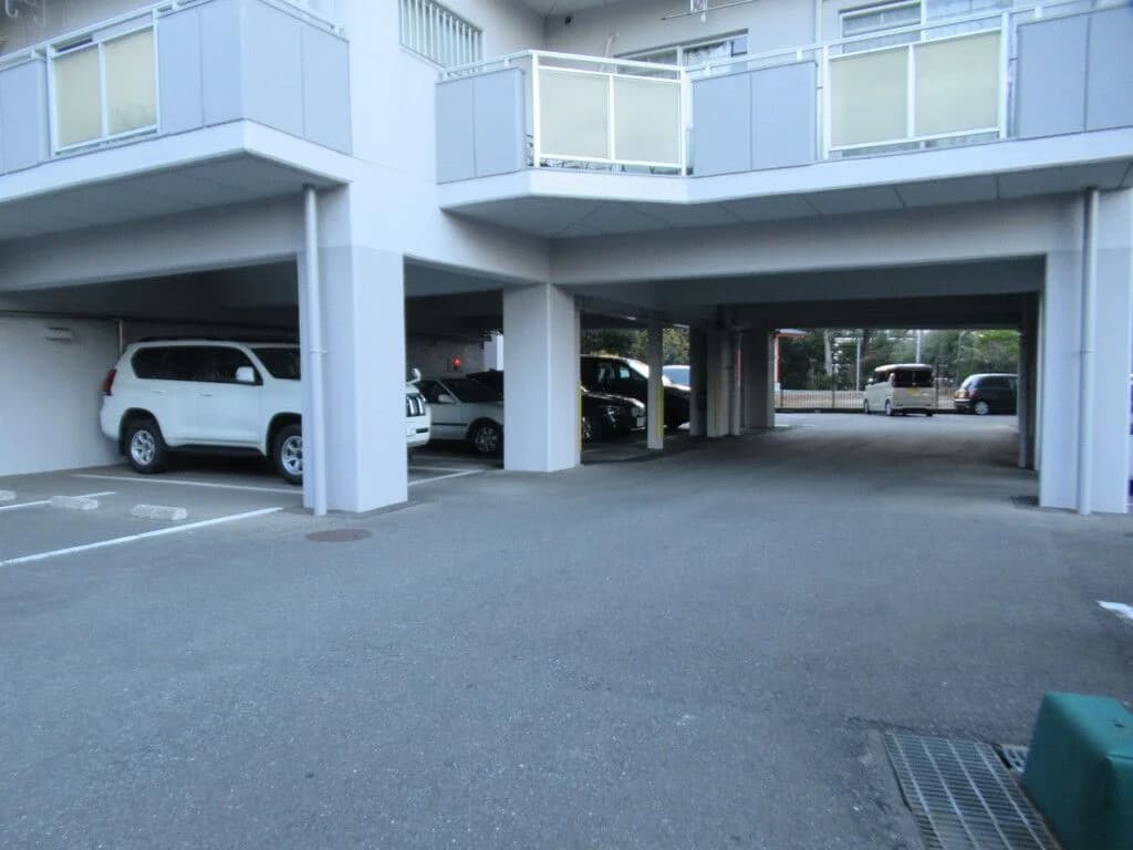 Everlife Kashii