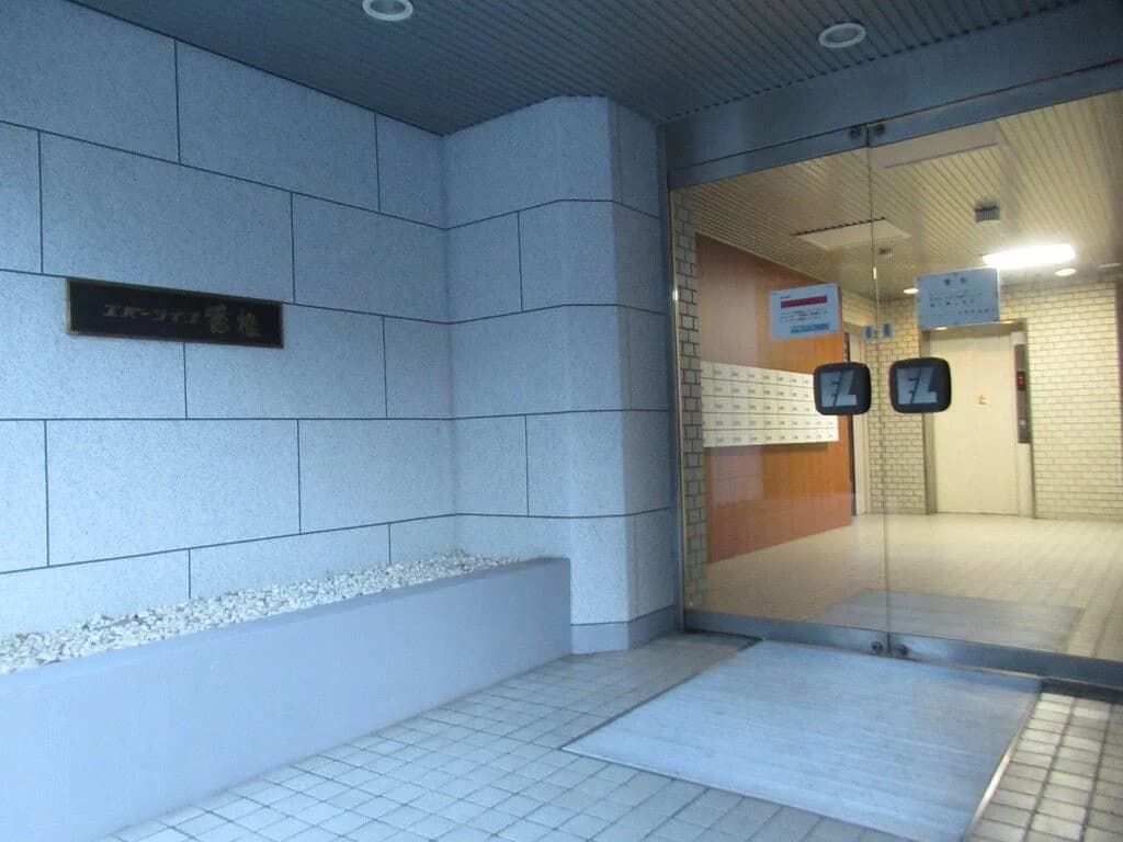 Everlife Kashii