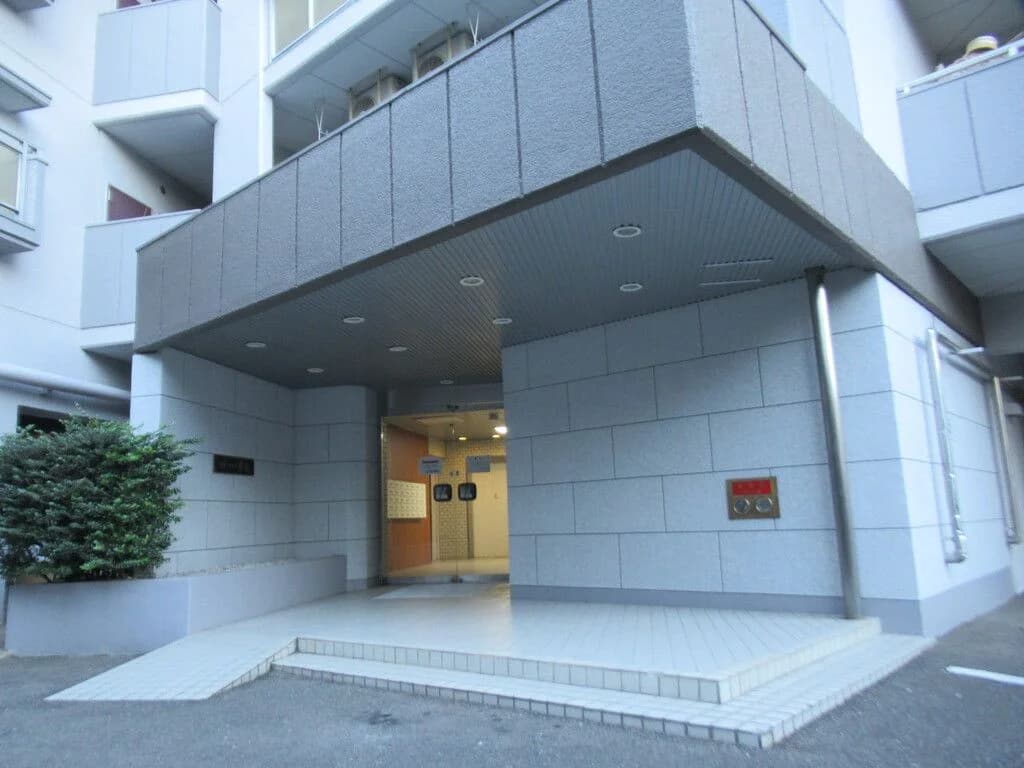 Everlife Kashii