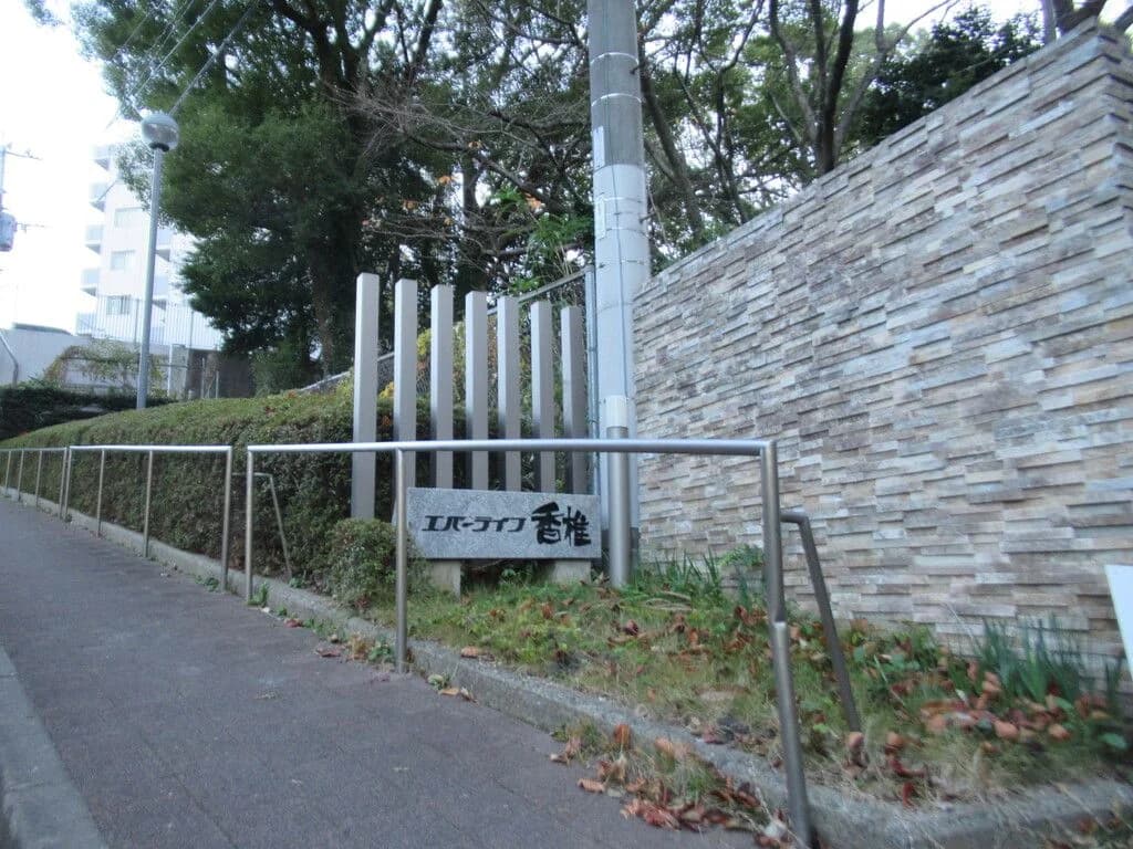 Everlife Kashii