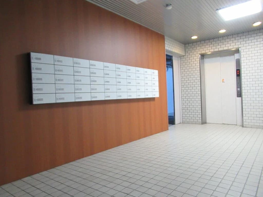 Everlife Kashii
