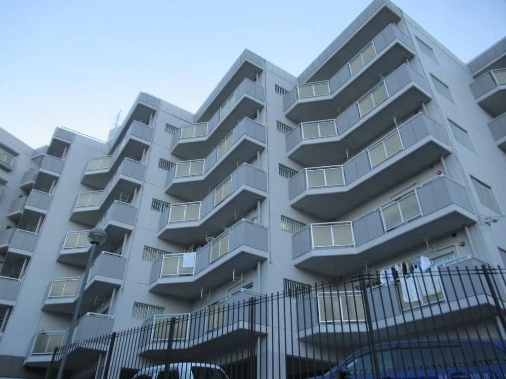 Everlife Kashii