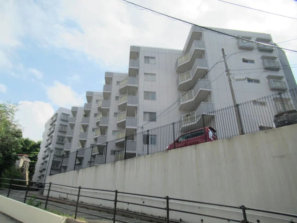 Everlife Kashii