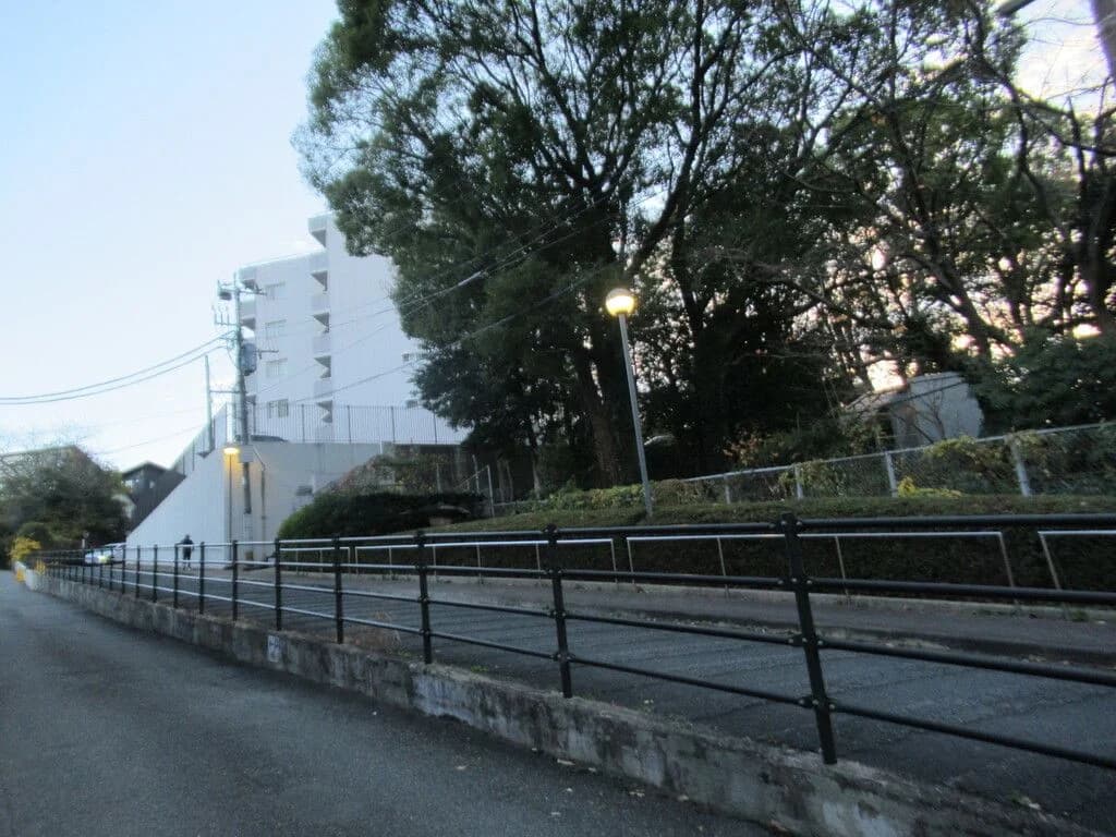 Everlife Kashii
