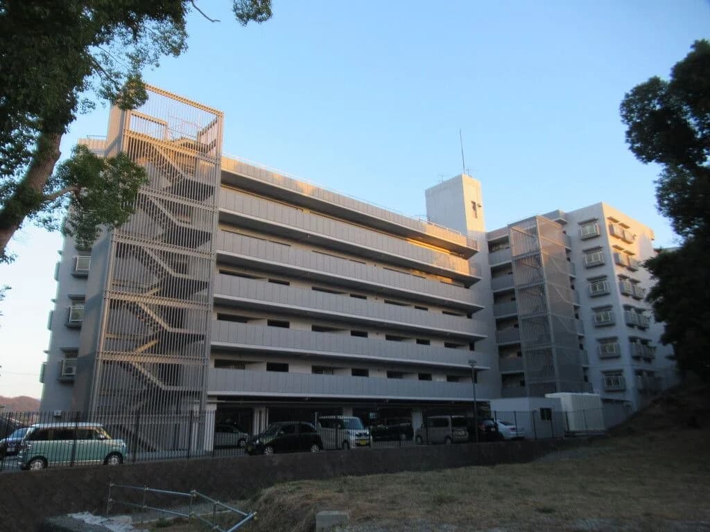 Everlife Kashii