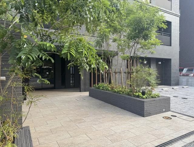 Open Residencia 药院白金