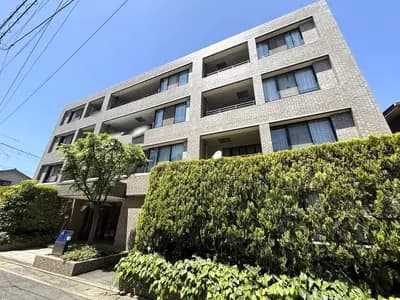 會員限定