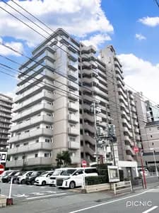 会员限定