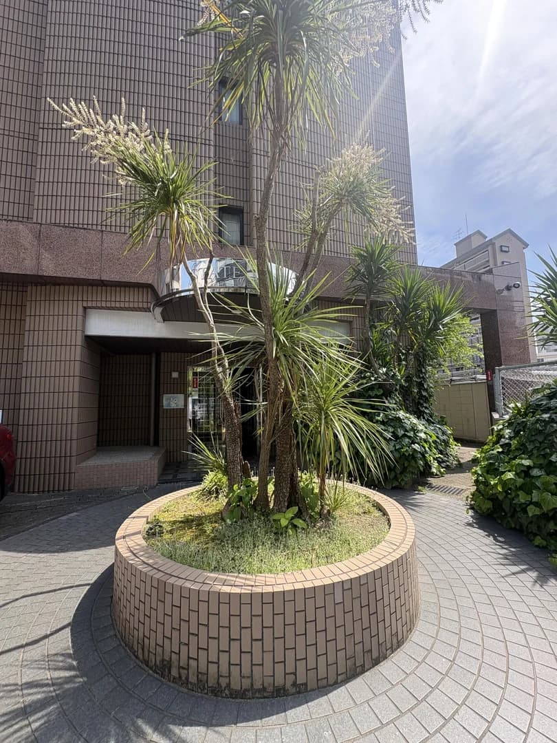 States Tenjin