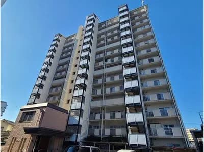 会员限定