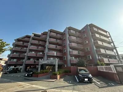 会员限定