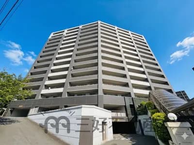 会员限定