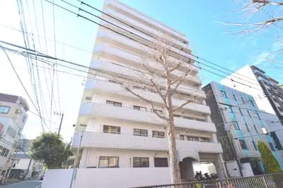 City Mansion 药院2