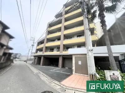 会员限定