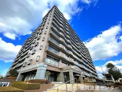 会员限定
