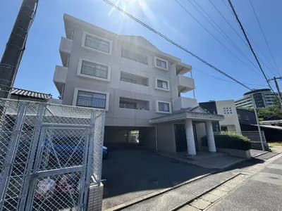 会员限定