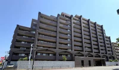 會員限定
