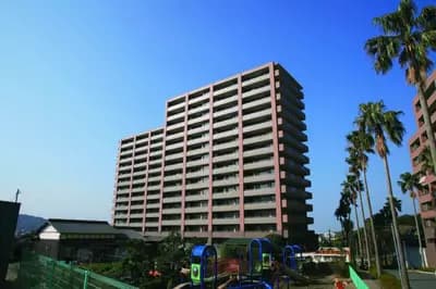 会员限定